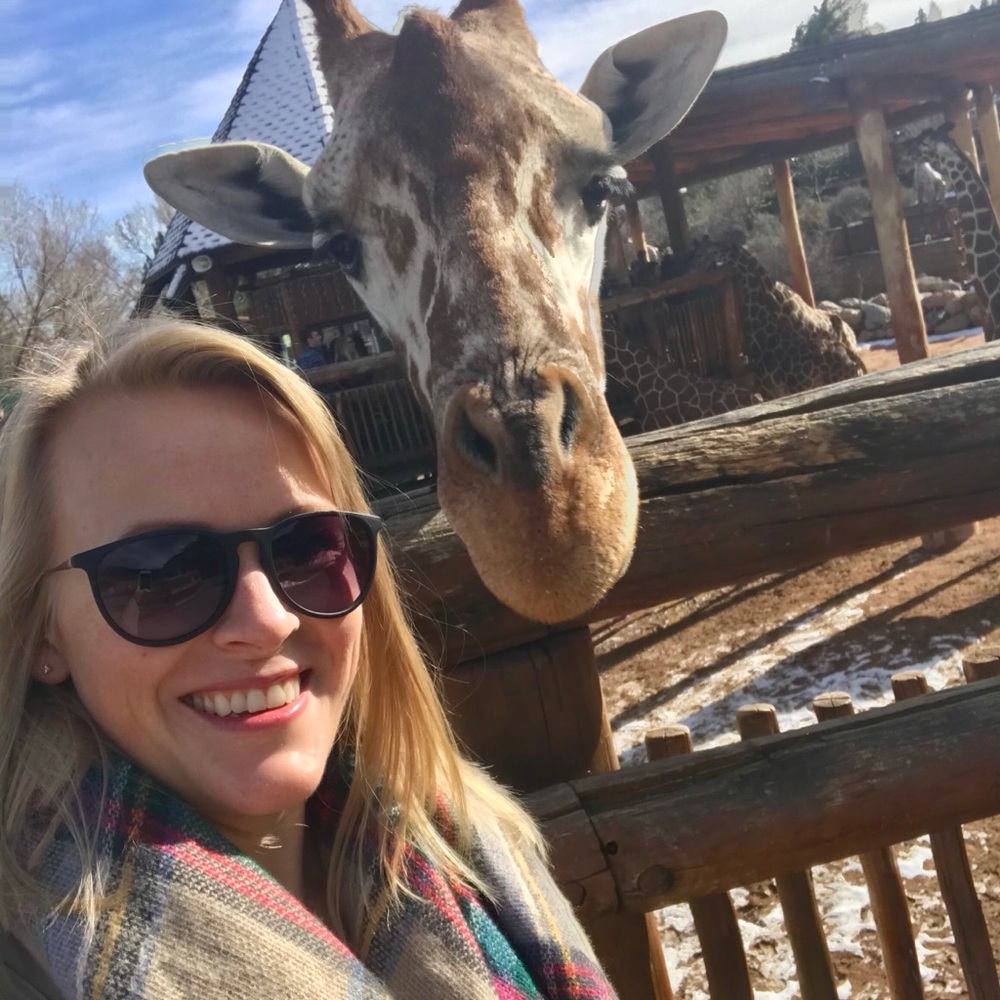 Meet your Posher, Ariel